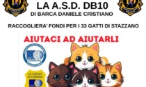 ASD DB10: un banchetto benefico per aiutare i 33 gatti sequestrati a Stazzano