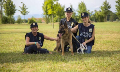 Piemonte: aperte le iscrizioni al corso online per guardie zoofile Oipa