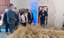 G7 dell'Agricoltura: il riso italiano protagonista della Divinazione Expo 2024