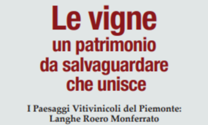 Bruno, domani la presentazione di “Le vigne, un patrimonio da salvaguardare che unisce”