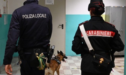 Alessandria, scuole al centro di progetto su legalità di Polizia Locale e Carabinieri