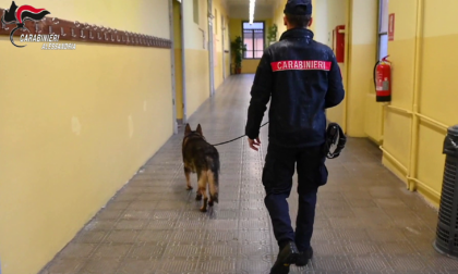 Proseguono i controlli antidroga nelle scuole della provincia di Alessandria