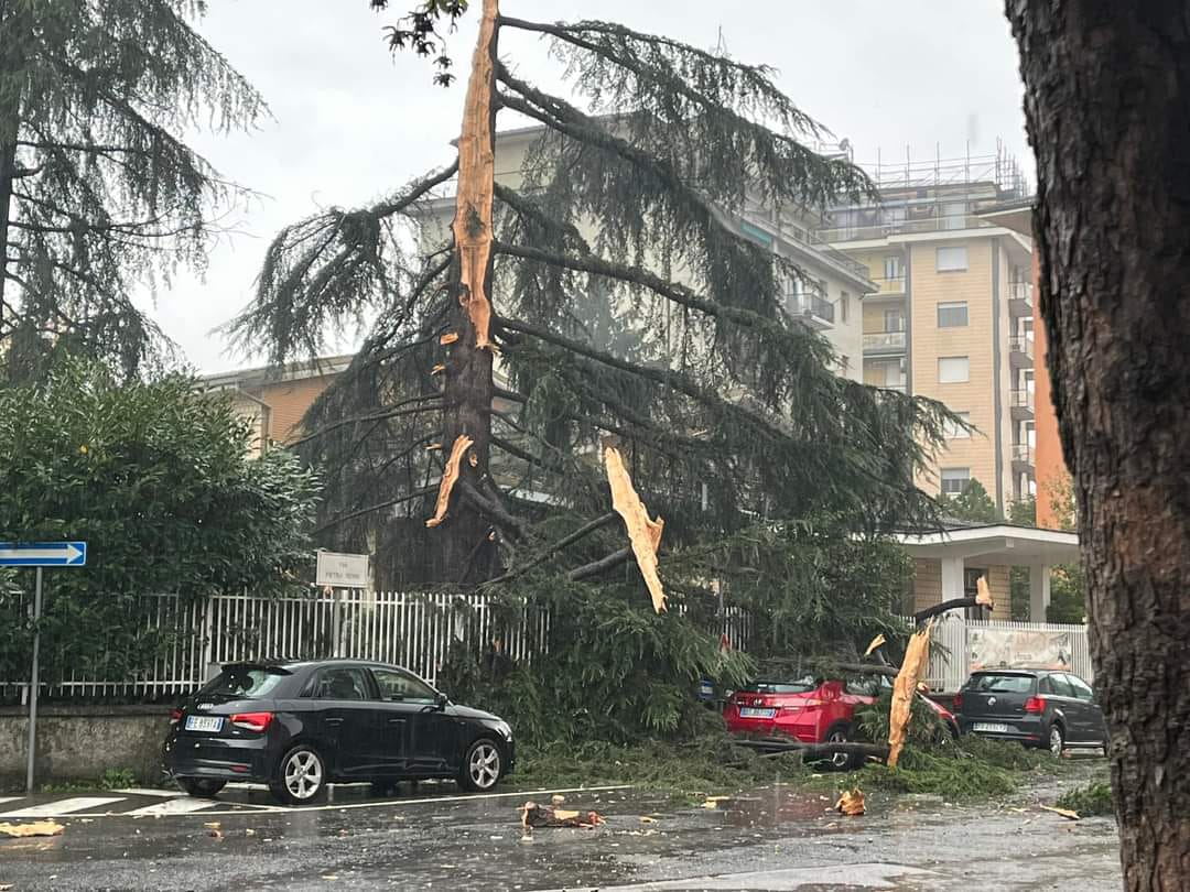 Albero caduto Poste Ovada