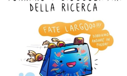 Sabato 9 novembre anche ad Alessandria e provincia i cioccolatini della ricerca AIRC