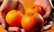 Prenotazioni in corso per le clementine a sostegno del Centro Antiviolenza me.dea