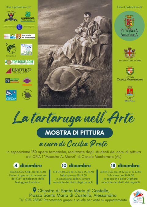 La Tartaruga nell'Arte Alessandria