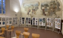 Alessandria, inaugurata la mostra itinerante “La Tartaruga nell’Arte”