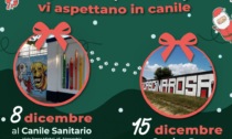 L'8 dicembre apertura natalizia al canile sanitario e gattile di Alessandria