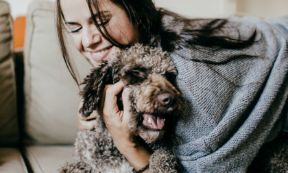 Parte la campagna della LNDC "Dona una coperta" per proteggere gli animali dal freddo