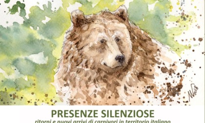 Alessandria: sabato 11 apertura straordinaria della mostra "Presenze silenziose"